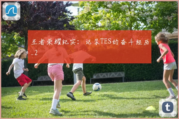 王者荣耀纪实：记录TES的奋斗经历_2