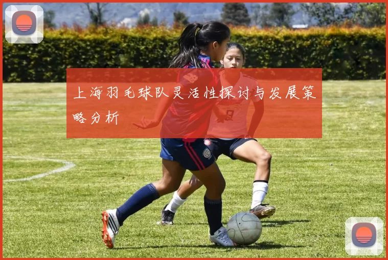 上海羽毛球队灵活性探讨与发展策略分析